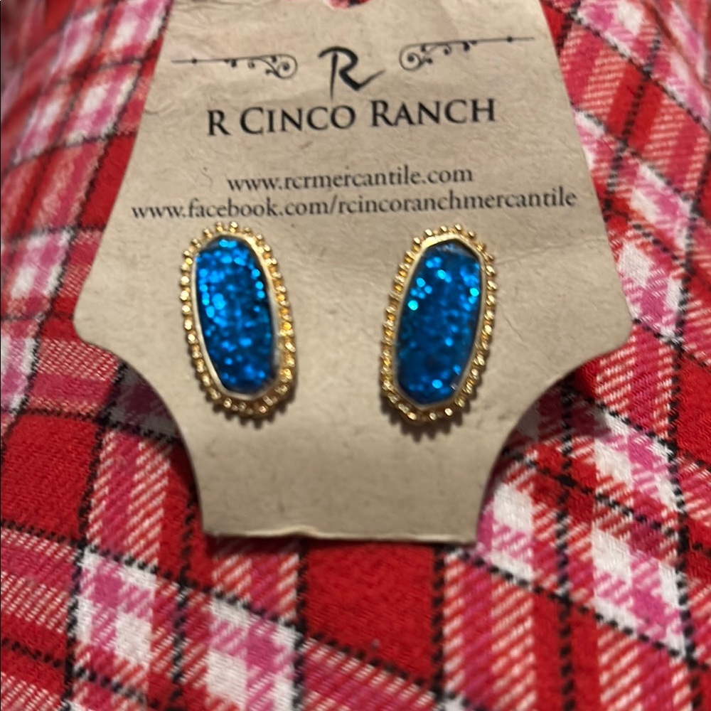 R Cinco Ranch Blue Glitter Earrings